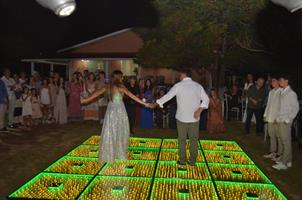 Plantas: imagem 4 de 15